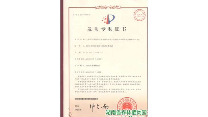 AG旗舰厅(中国游)官方网站