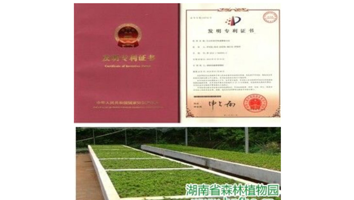 AG旗舰厅(中国游)官方网站