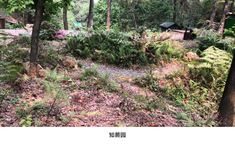 AG旗舰厅(中国游)官方网站