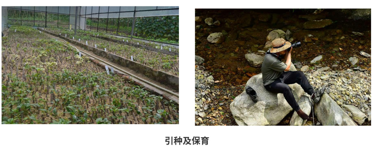 AG旗舰厅(中国游)官方网站
