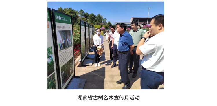 AG旗舰厅(中国游)官方网站