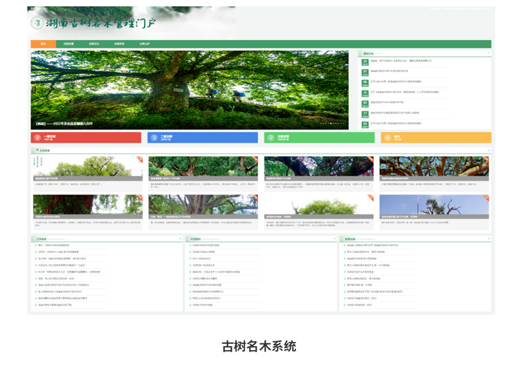 AG旗舰厅(中国游)官方网站