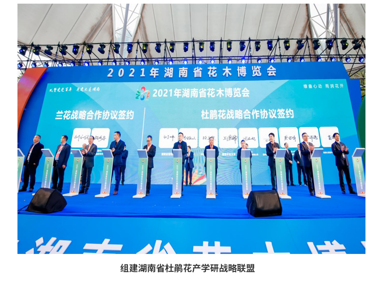 AG旗舰厅(中国游)官方网站