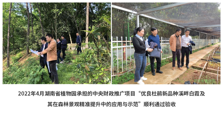 AG旗舰厅(中国游)官方网站