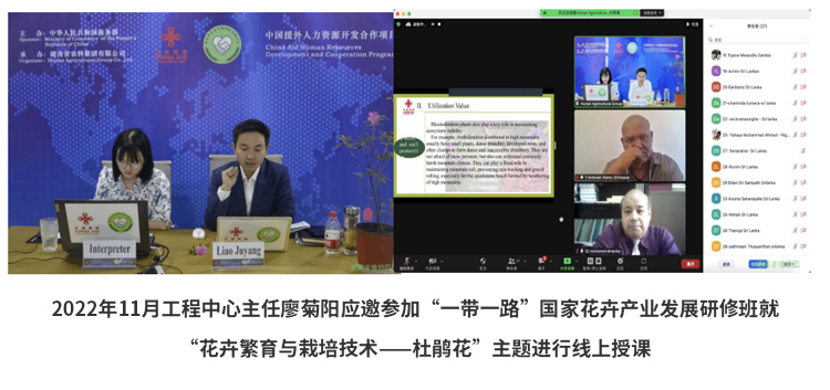 AG旗舰厅(中国游)官方网站