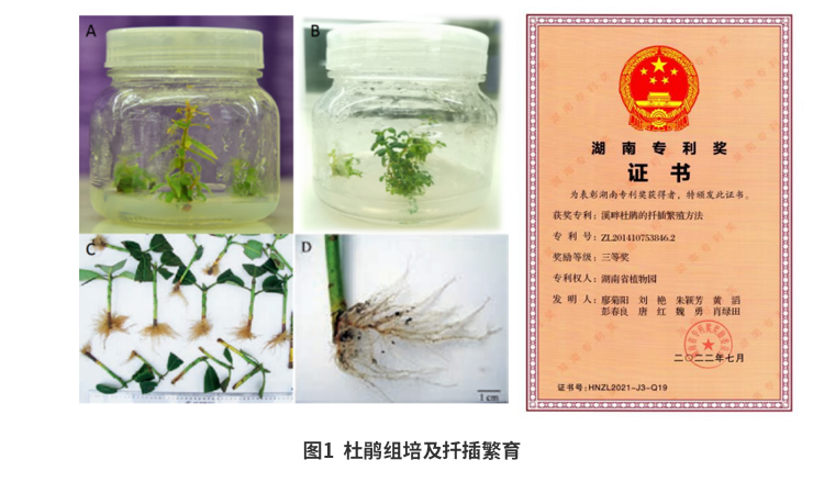 AG旗舰厅(中国游)官方网站