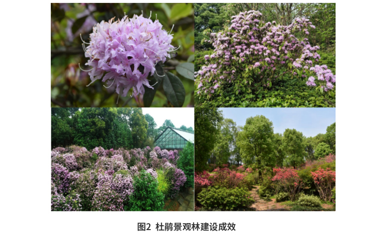 AG旗舰厅(中国游)官方网站