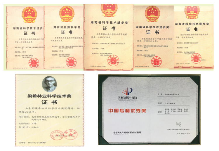 AG旗舰厅(中国游)官方网站