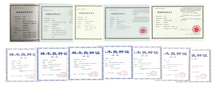 AG旗舰厅(中国游)官方网站