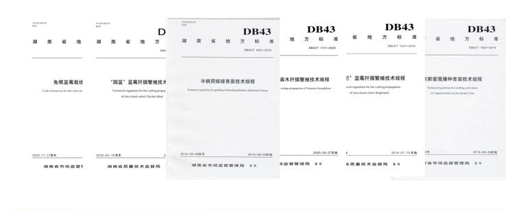 AG旗舰厅(中国游)官方网站