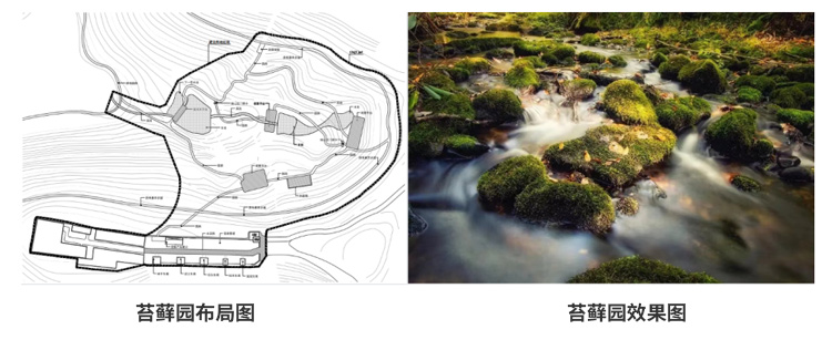 AG旗舰厅(中国游)官方网站