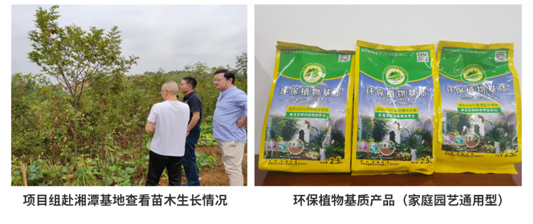 AG旗舰厅(中国游)官方网站