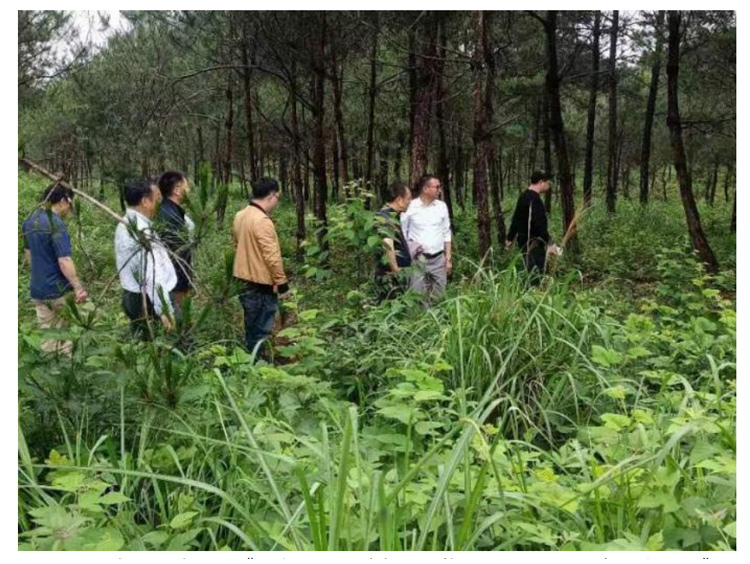 AG旗舰厅(中国游)官方网站
