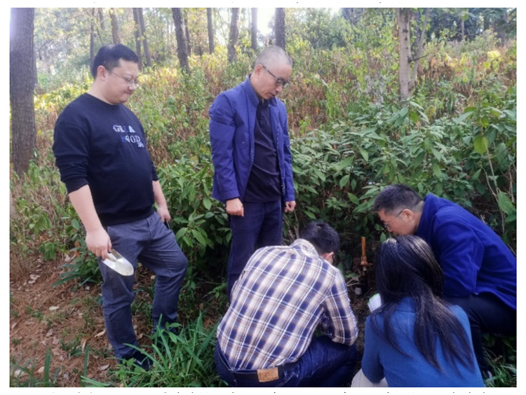 AG旗舰厅(中国游)官方网站