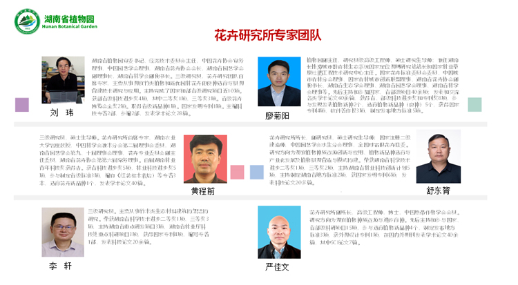 AG旗舰厅(中国游)官方网站