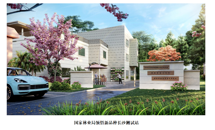AG旗舰厅(中国游)官方网站