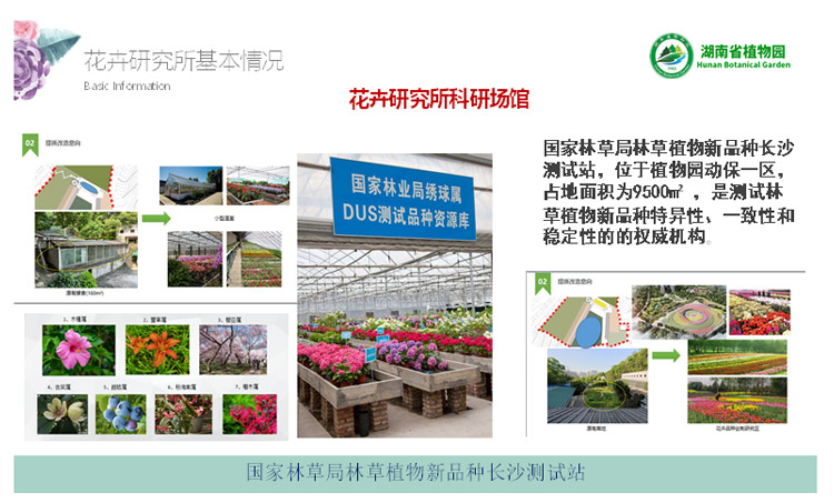 AG旗舰厅(中国游)官方网站