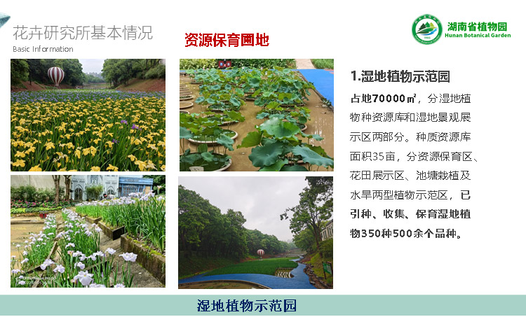 AG旗舰厅(中国游)官方网站