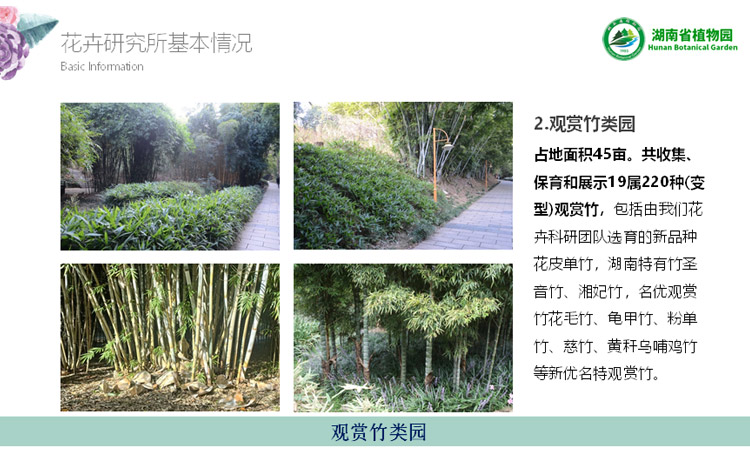 AG旗舰厅(中国游)官方网站