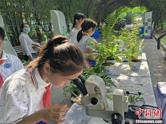 AG旗舰厅(中国游)官方网站