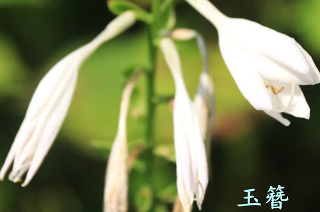 AG旗舰厅(中国游)官方网站