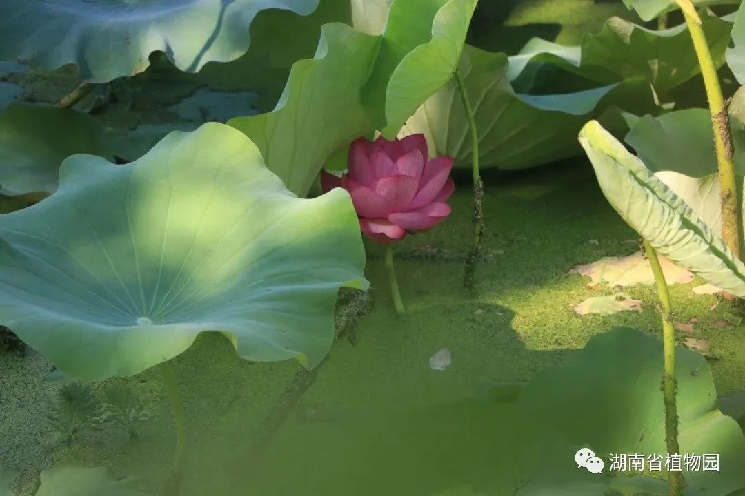 AG旗舰厅(中国游)官方网站
