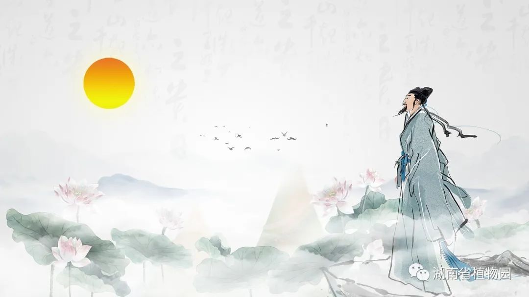 AG旗舰厅(中国游)官方网站