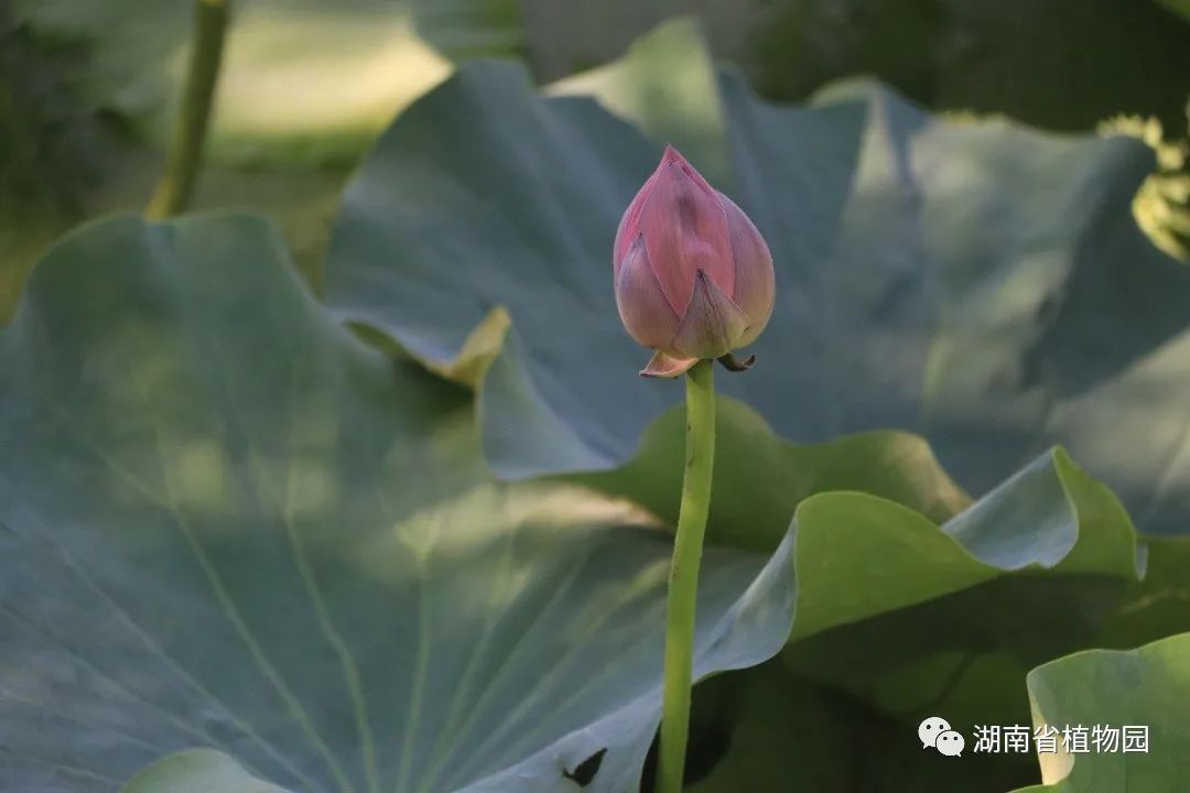 AG旗舰厅(中国游)官方网站