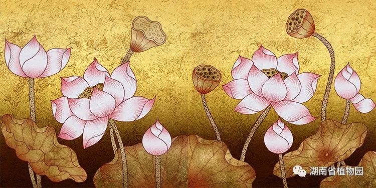 AG旗舰厅(中国游)官方网站