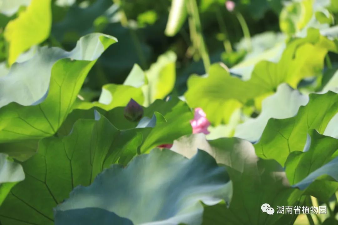 AG旗舰厅(中国游)官方网站