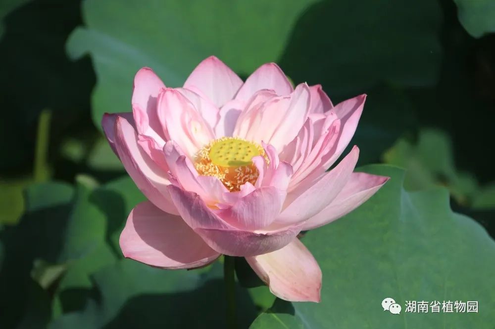 AG旗舰厅(中国游)官方网站