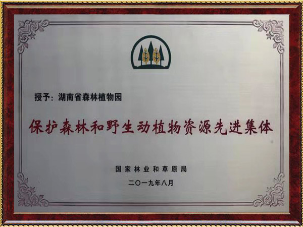 科研4-；；；；；；ど趾鸵吧参镒试聪冉