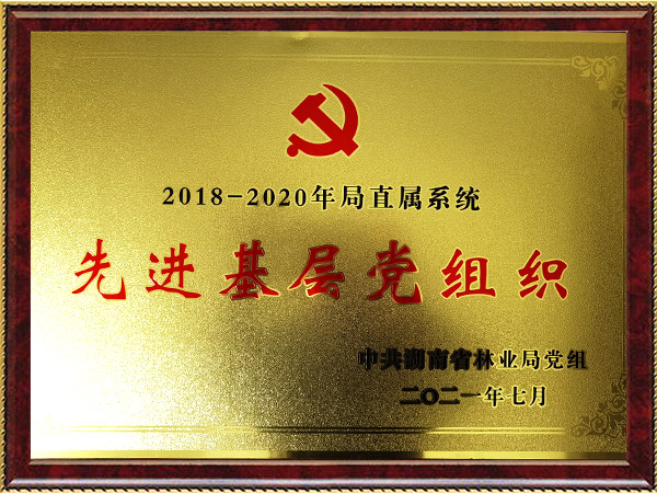先进下层党组织2021年