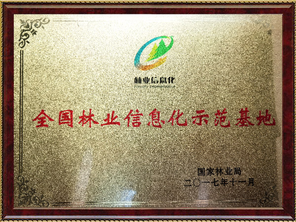 天下林业信息化树模基地