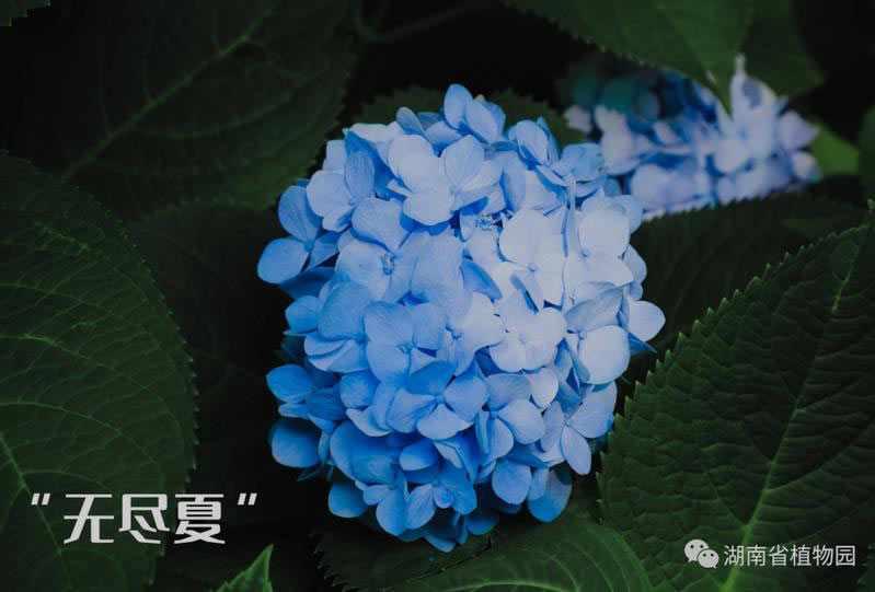 AG旗舰厅(中国游)官方网站