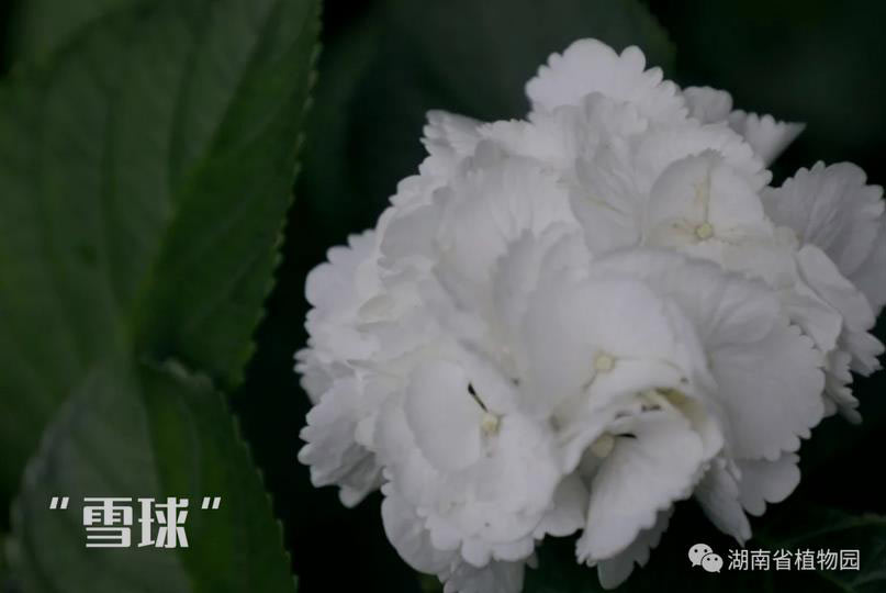 AG旗舰厅(中国游)官方网站