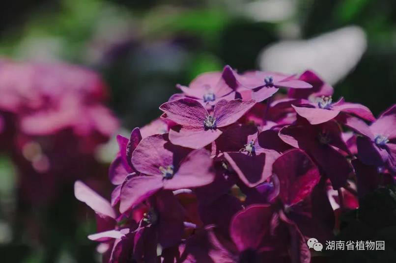 AG旗舰厅(中国游)官方网站