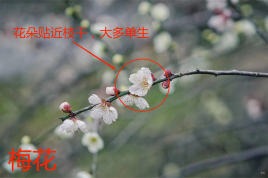 AG旗舰厅(中国游)官方网站