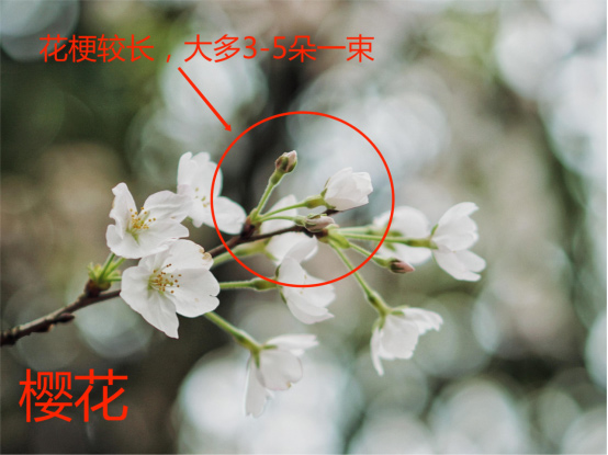AG旗舰厅(中国游)官方网站
