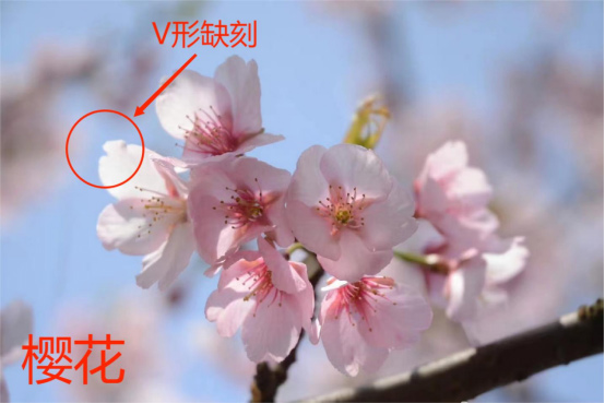 AG旗舰厅(中国游)官方网站
