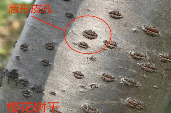 AG旗舰厅(中国游)官方网站