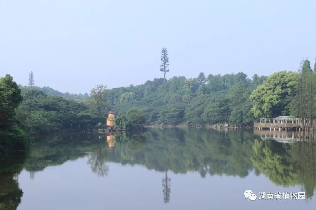 AG旗舰厅(中国游)官方网站