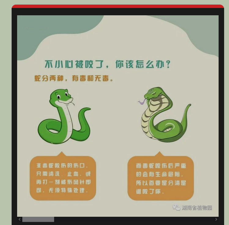 AG旗舰厅(中国游)官方网站