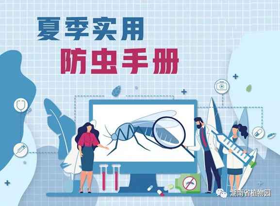 AG旗舰厅(中国游)官方网站