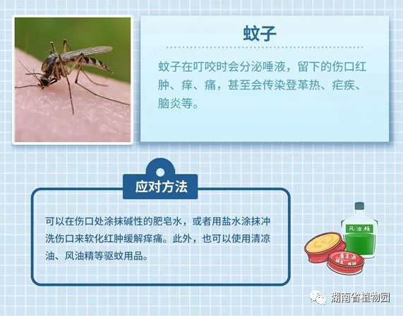 AG旗舰厅(中国游)官方网站