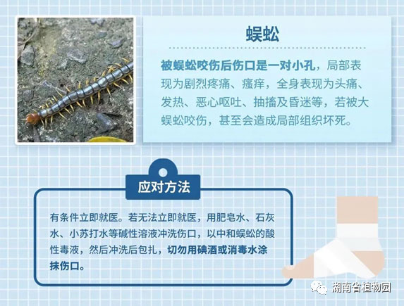 AG旗舰厅(中国游)官方网站