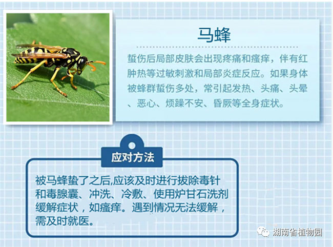 AG旗舰厅(中国游)官方网站