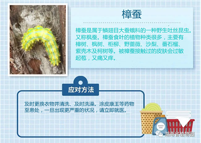 AG旗舰厅(中国游)官方网站