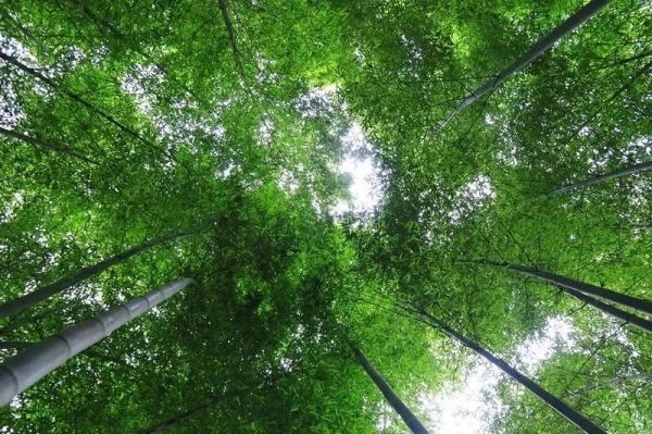 AG旗舰厅(中国游)官方网站