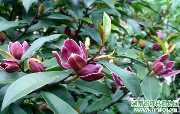 AG旗舰厅(中国游)官方网站